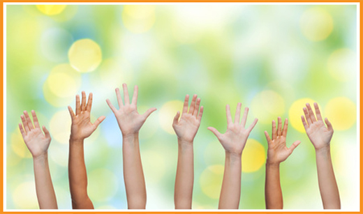 Kurs for barnehage - skole...